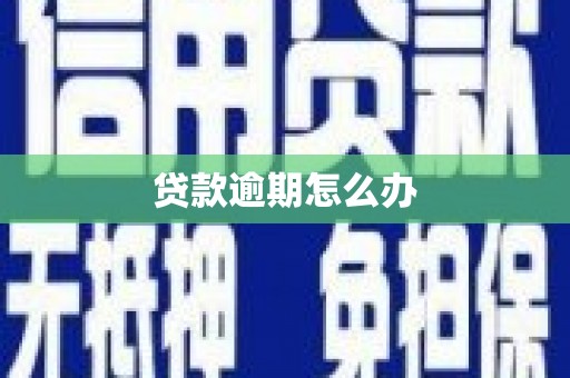 项城贷款逾期怎么办