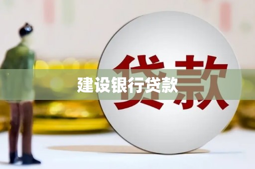 项城建设银行贷款