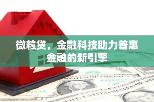 项城微粒贷，金融科技助力普惠金融的新引擎