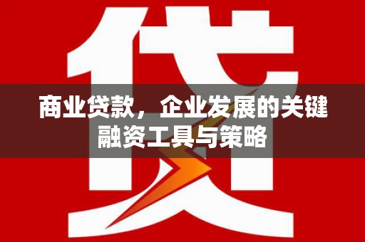 项城商业贷款，企业发展的关键融资工具与策略