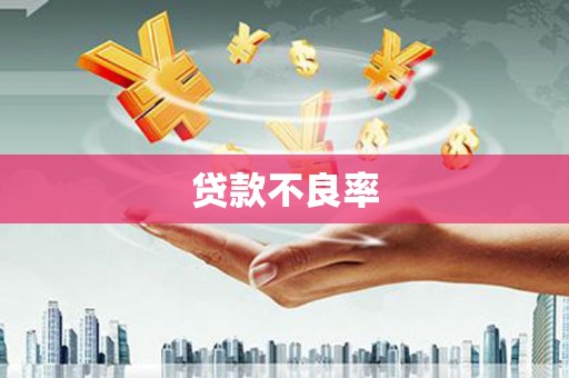 项城贷款不良率
