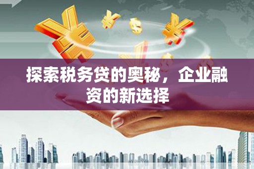 项城探索税务贷的奥秘，企业融资的新选择