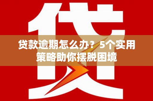 项城贷款逾期怎么办？5个实用策略助你摆脱困境