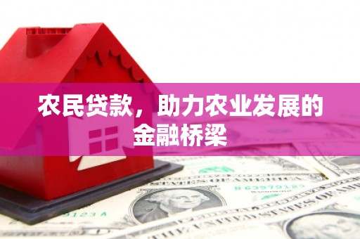 项城农民贷款，助力农业发展的金融桥梁