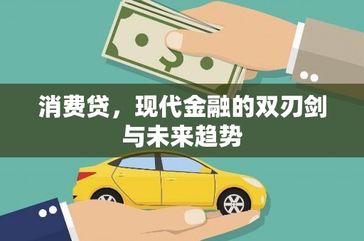 项城消费贷，现代金融的双刃剑与未来趋势