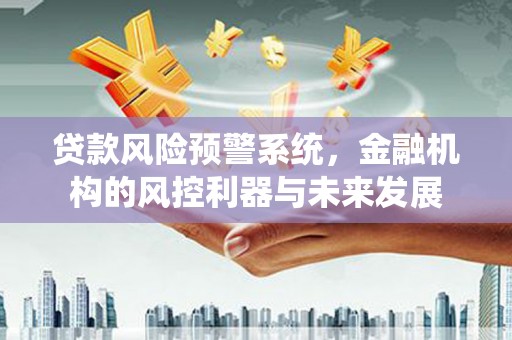 项城贷款风险预警系统，金融机构的风控利器与未来发展