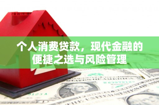 项城个人消费贷款，现代金融的便捷之选与风险管理