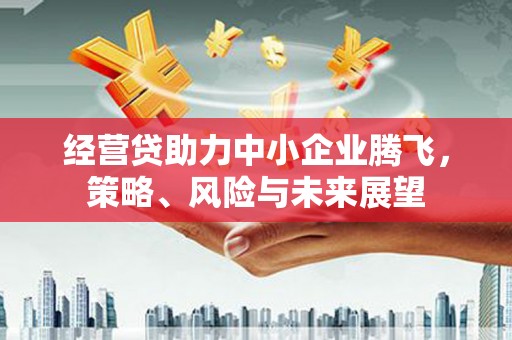 项城经营贷助力中小企业腾飞，策略、风险与未来展望
