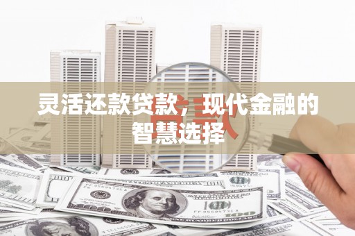 项城灵活还款贷款，现代金融的智慧选择