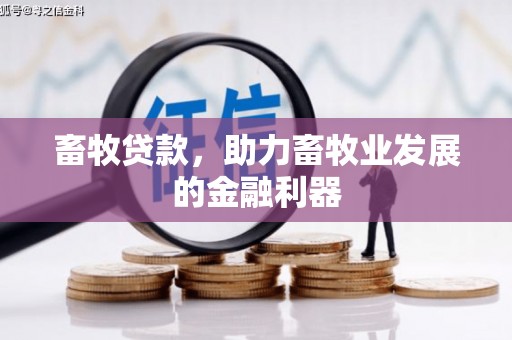 项城畜牧贷款，助力畜牧业发展的金融利器