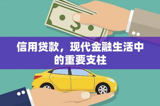 项城信用贷款，现代金融生活中的重要支柱