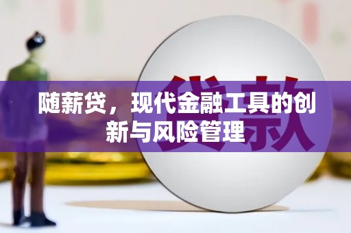 项城随薪贷，现代金融工具的创新与风险管理