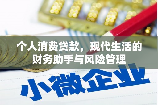 项城个人消费贷款，现代生活的财务助手与风险管理