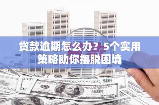 项城贷款逾期怎么办？5个实用策略助你摆脱困境