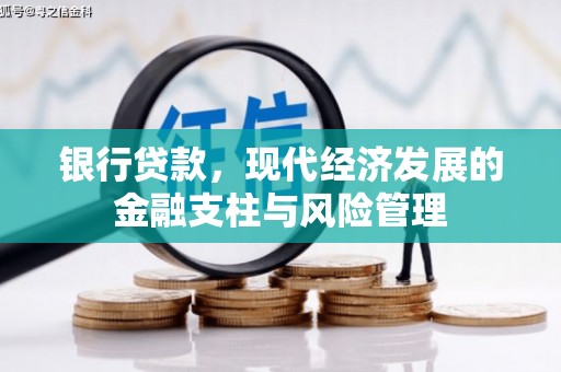 项城银行贷款，现代经济发展的金融支柱与风险管理