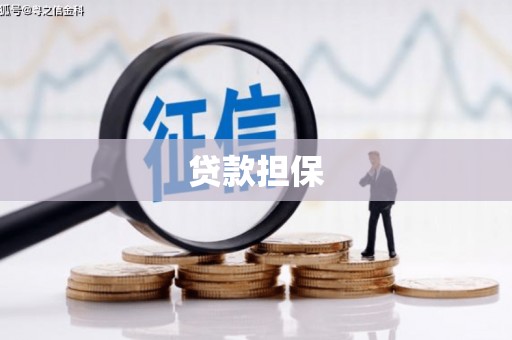 项城贷款担保