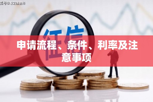 项城申请流程、条件、利率及注意事项