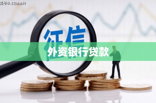 项城外资银行贷款