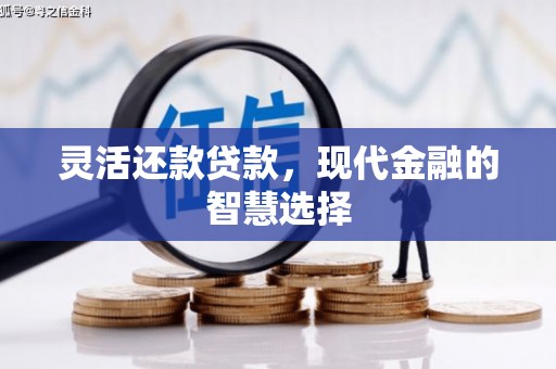 项城灵活还款贷款，现代金融的智慧选择