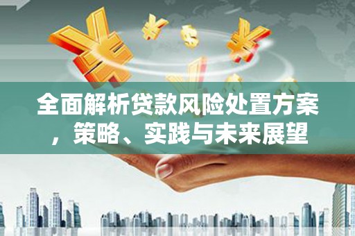 项城全面解析贷款风险处置方案，策略、实践与未来展望