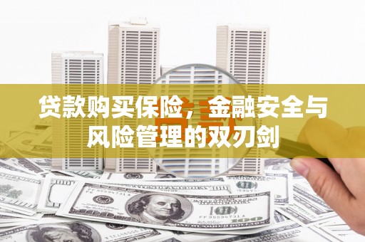 项城贷款购买保险，金融安全与风险管理的双刃剑