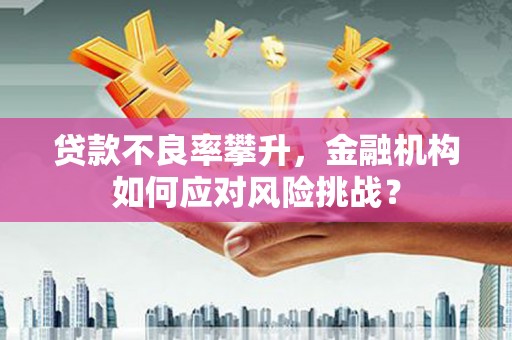 项城贷款不良率攀升，金融机构如何应对风险挑战？