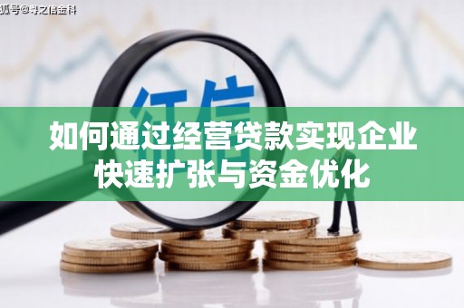 项城如何通过经营贷款实现企业快速扩张与资金优化