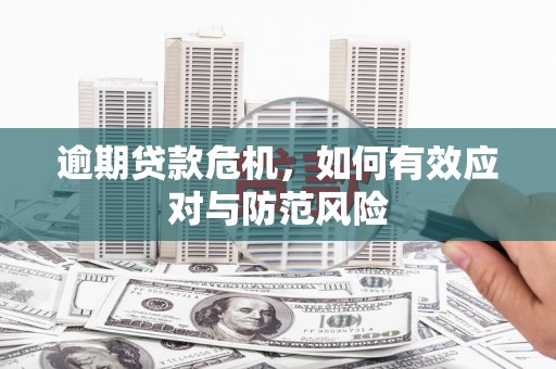 项城逾期贷款危机，如何有效应对与防范风险