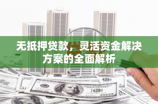 项城无抵押贷款，灵活资金解决方案的全面解析