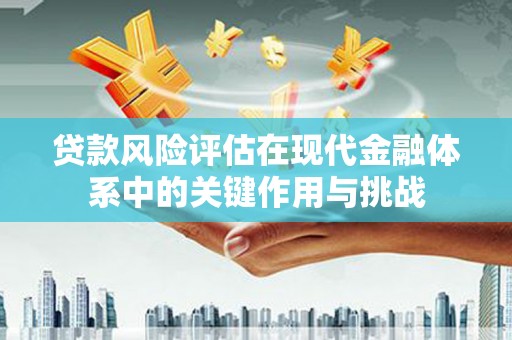 项城贷款风险评估在现代金融体系中的关键作用与挑战