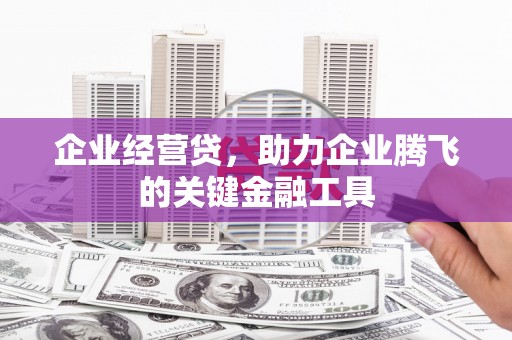 项城企业经营贷，助力企业腾飞的关键金融工具