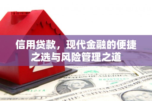 项城信用贷款，现代金融的便捷之选与风险管理之道