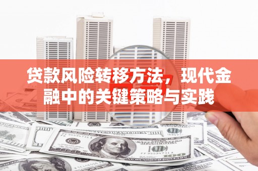 项城贷款风险转移方法，现代金融中的关键策略与实践