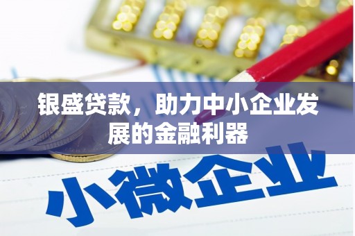 项城银盛贷款，助力中小企业发展的金融利器