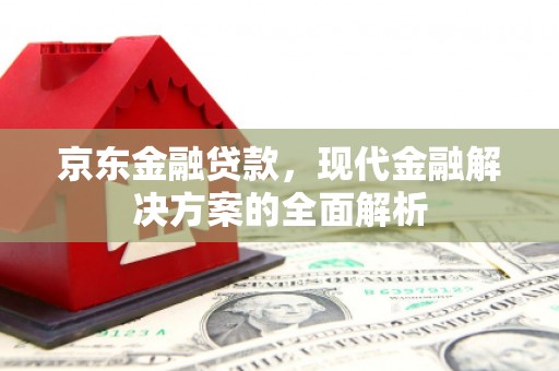 项城京东金融贷款，现代金融解决方案的全面解析