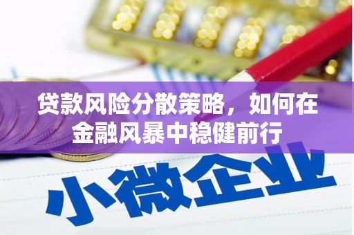 项城贷款风险分散策略，如何在金融风暴中稳健前行