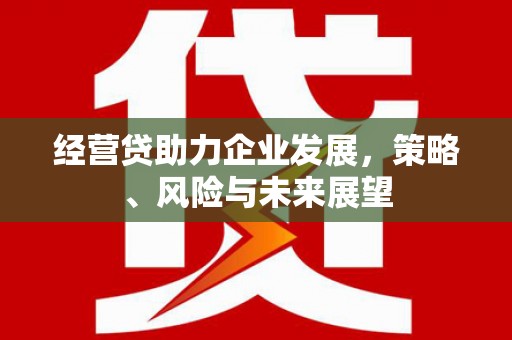 项城经营贷助力企业发展，策略、风险与未来展望