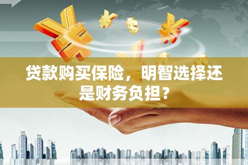 项城贷款购买保险，明智选择还是财务负担？