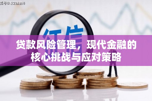 项城贷款风险管理，现代金融的核心挑战与应对策略