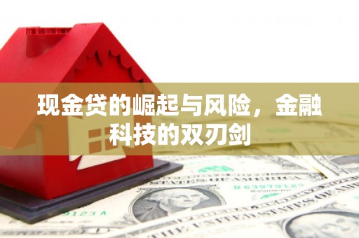 项城现金贷的崛起与风险，金融科技的双刃剑