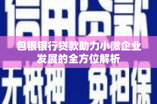 项城包银银行贷款助力小微企业发展的全方位解析