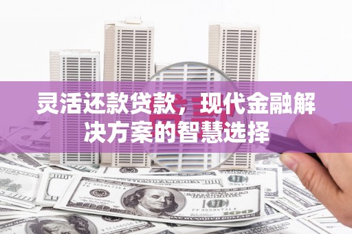 项城灵活还款贷款，现代金融解决方案的智慧选择