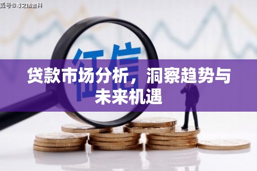 项城贷款市场分析，洞察趋势与未来机遇