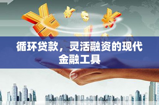 项城循环贷款，灵活融资的现代金融工具