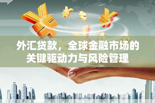 项城外汇贷款，全球金融市场的关键驱动力与风险管理