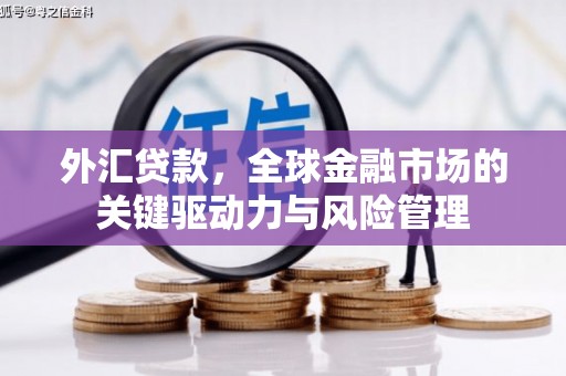 项城外汇贷款，全球金融市场的关键驱动力与风险管理