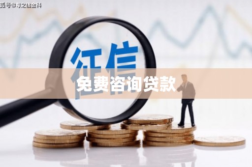 项城免费咨询贷款