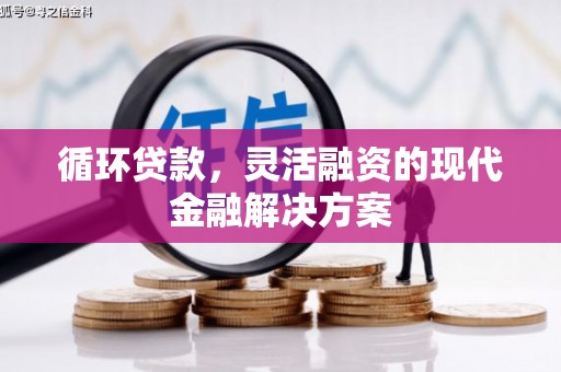 项城循环贷款，灵活融资的现代金融解决方案