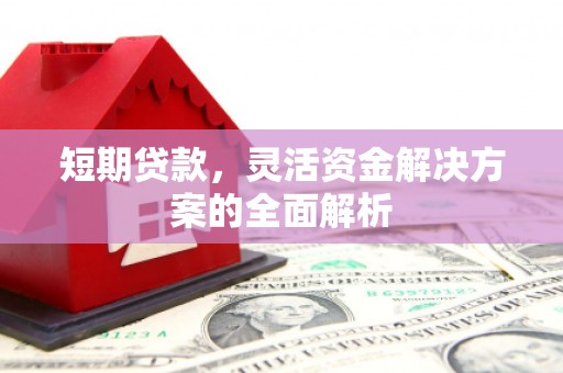 项城短期贷款，灵活资金解决方案的全面解析