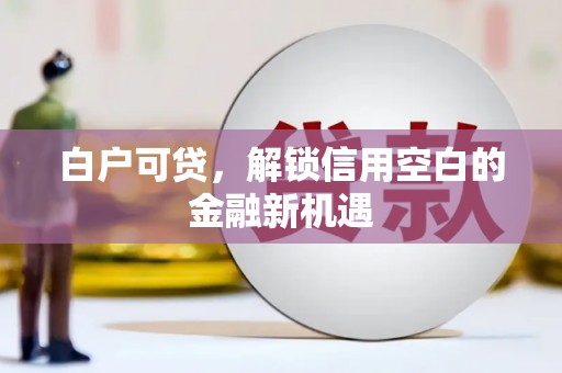 项城白户可贷，解锁信用空白的金融新机遇